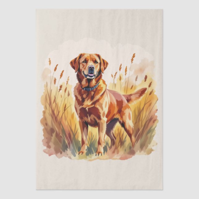Papel De Seda Fox Red Labrador Retriever Dog (Frente )