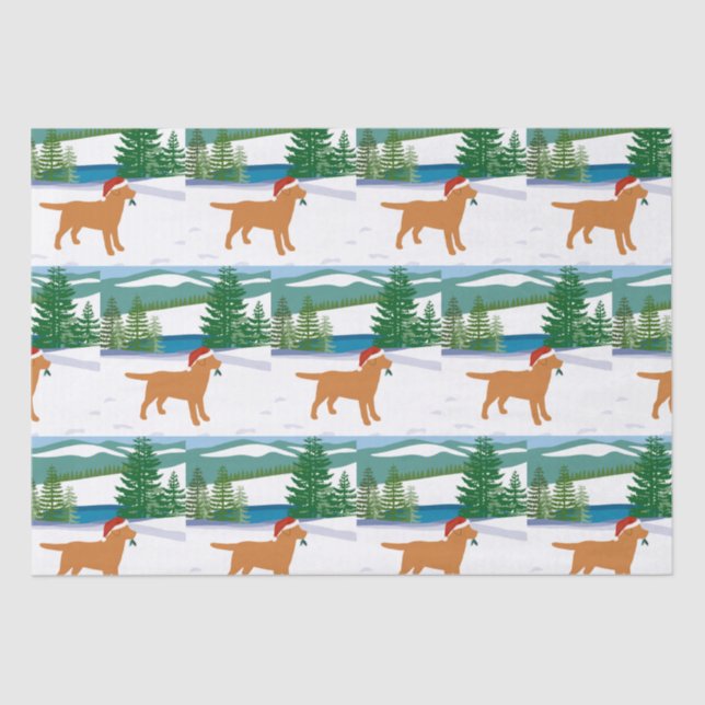 Papel De Seda Fox Red Labrador — Vista de inverno de inverno (Frente )