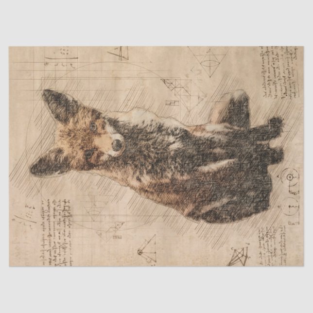 Papel De Seda Fox Wildlife Retro Drake (Frente )