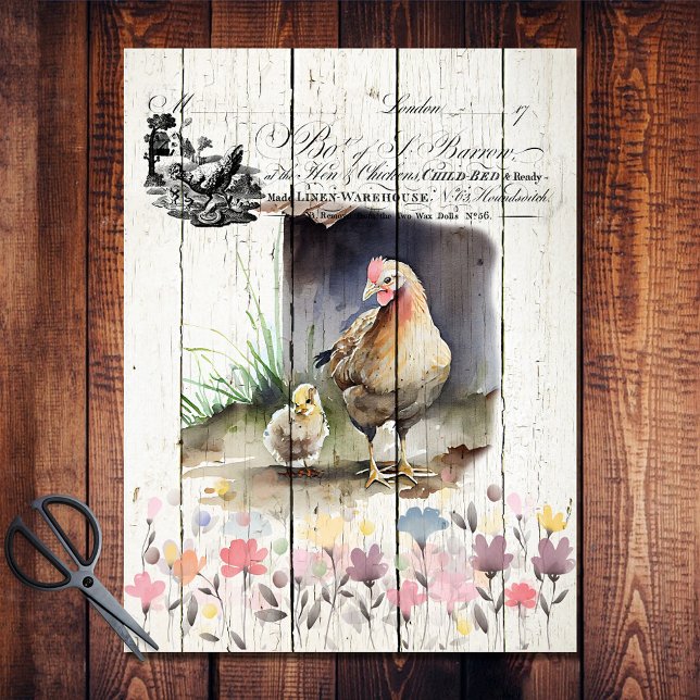 Papel De Seda Frango De Pedra De Plymouth Floral Francês (Criador carregado)