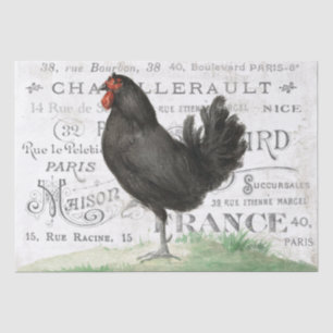 Papel De Seda Frango Negro Hen Nome da Cidade Francesa Desaparec