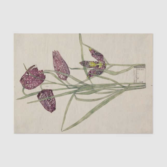 Papel De Seda Fritillaria por Charles Mackintosh (Frente )