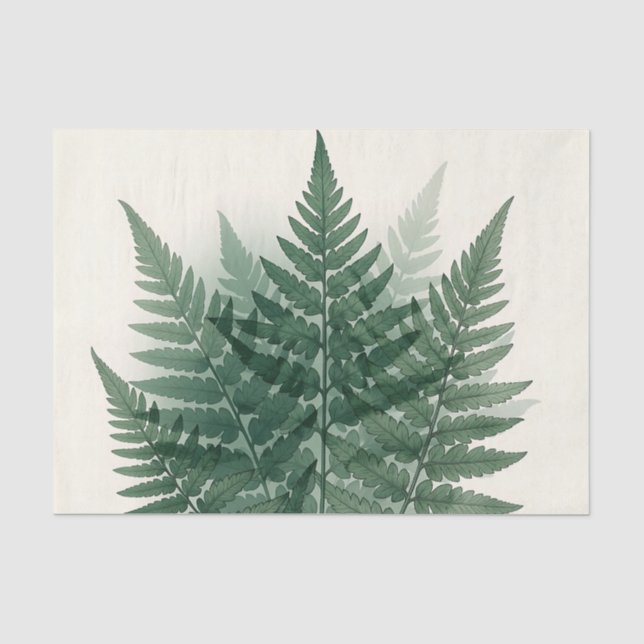 Papel De Seda Frondes de Samambaia Verde Elegantes Botânica  (Frente )