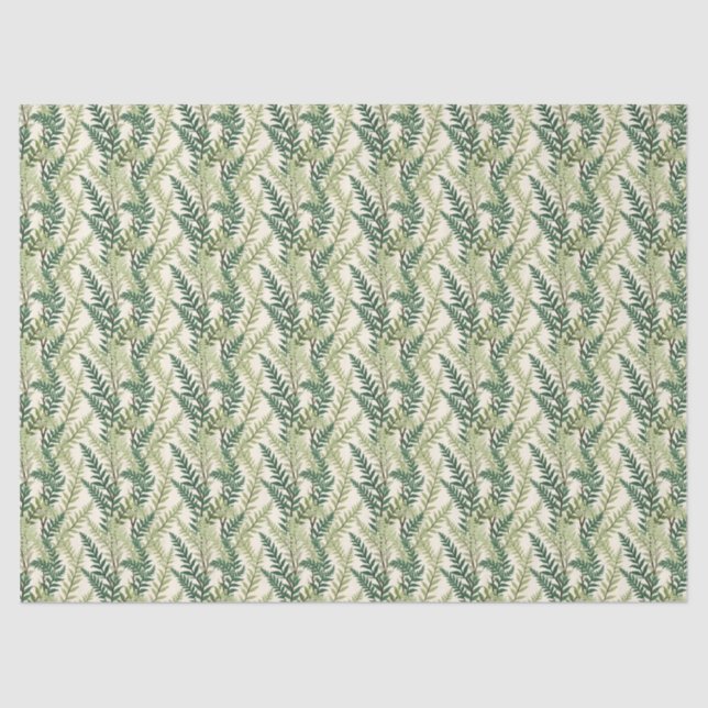 Papel De Seda Fronteiras do Fern (Frente )