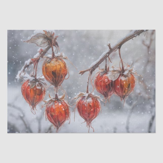 Papel De Seda Fruta Physalis em um galho na Neve (Frente )