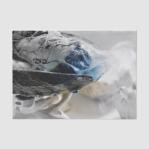 Papel De Seda Fumar Fumante Fumar Fumante Físico Físico Físico