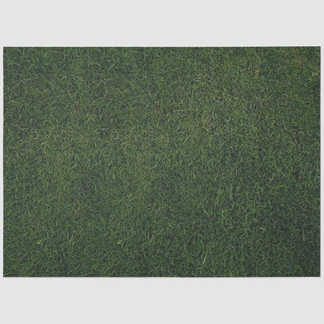 Papel De Seda Fundo de grama verde (Frente )