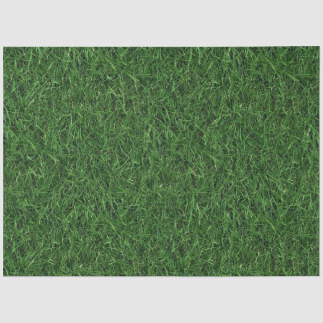 Papel De Seda Fundo de grama verde (Frente )