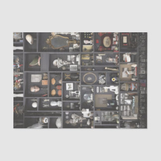 Papel De Seda Gabinete de Prateleiras de Curiosidades