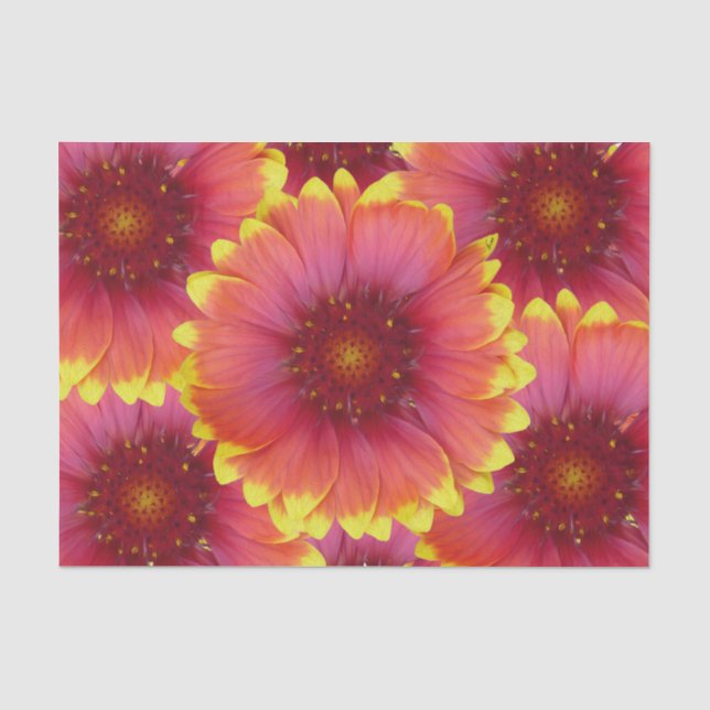 Papel De Seda Gaillardia 1 (Frente )