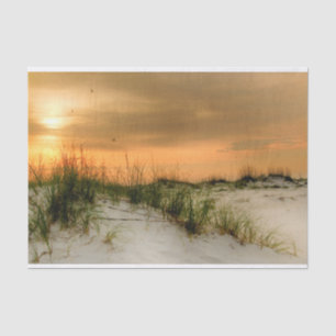 Papel De Seda Gaivotas ao amanhecer