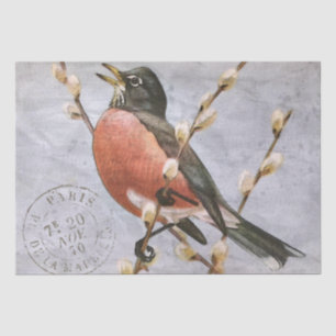 Papel De Seda Galho de Pássaro Robin com Postmark Francês Decoup