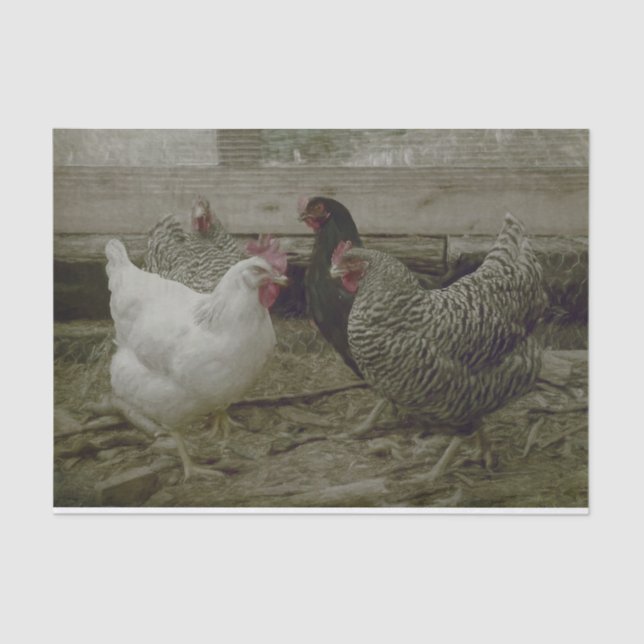Papel De Seda Galinha Vintage Barnyard Country (Frente )