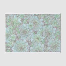 Papel De Seda Galinhas E Pintinhos