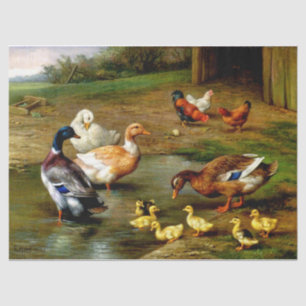 Papel De Seda Galinhas, Patos E Patos Na Fazenda