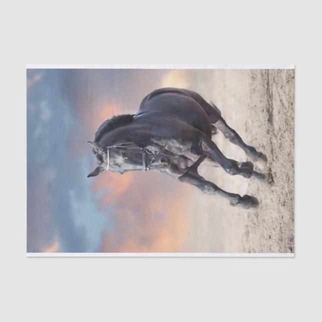 Papel De Seda Galopagem de cavalos fresianos negros (Frente )