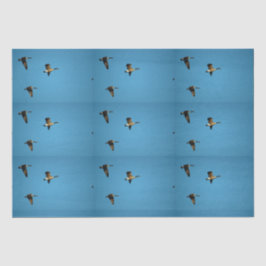 Papel De Seda Ganso canadense em voo