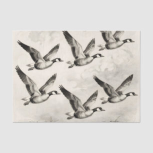Papel De Seda Gansos-do-Canadá Antigos em Voo Gravura