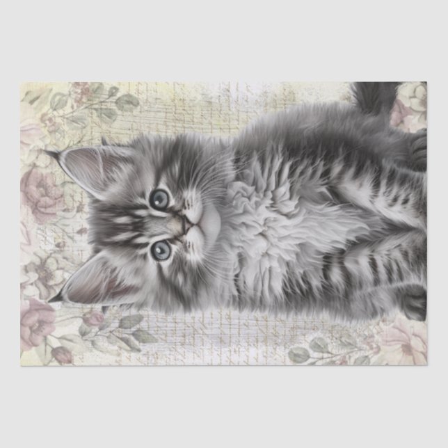 Papel De Seda Gatinho Floral do Maine Coon (Frente )