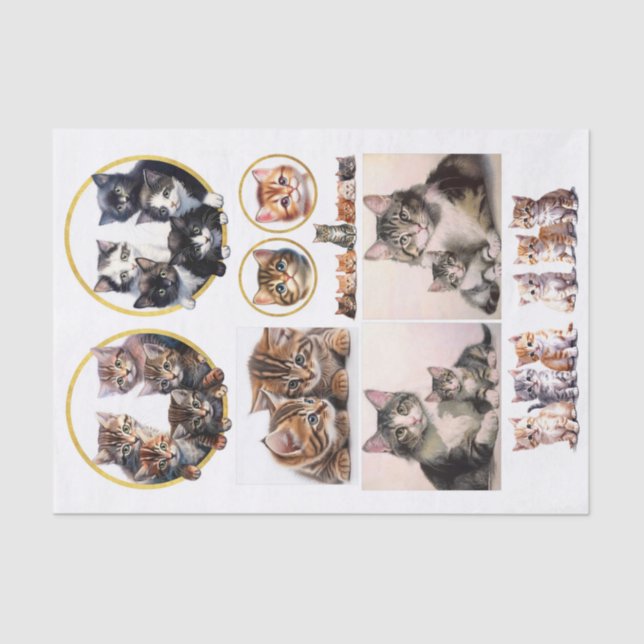 Papel De Seda Gatinhos bonito no Estilo de Helena Maguire (Frente )