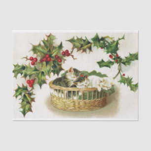 Papel De Seda Gatinhos de Natal super bonitos dormindo em uma ce