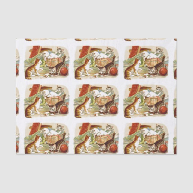 Papel De Seda Gatinhos em um jogo da cesta (Frente )