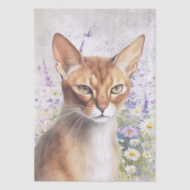Papel De Seda Gato Abissínio Aquarela (Frente )