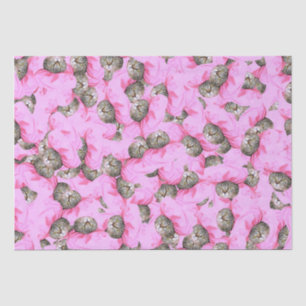 Papel De Seda Gato Bonito num Padrão de Boné Rosa