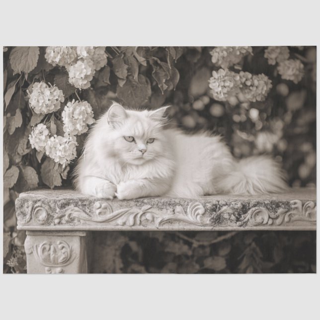 Papel De Seda Gato Branco no Jardim de Flores Decoupage (Frente )