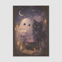 Gato e Amigo