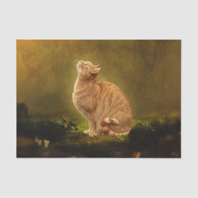 Papel De Seda Gato e fada (Frente )