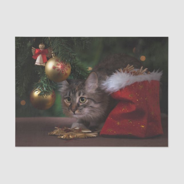 Papel De Seda Gato Gatinho de Natal (Frente )