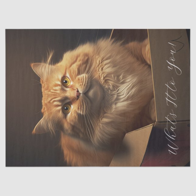 Papel De Seda Gato Na Caixa Do Calçado - Gato Sarcástico (Frente )