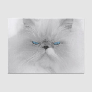 Papel De Seda Gato persa Grouchy