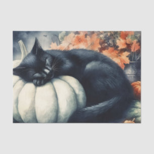 Papel De Seda Gato Preto Dormindo em Decoupage de Abóbora Branca