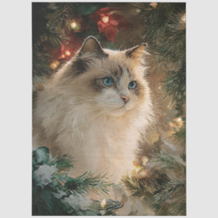 Papel De Seda Gato Ragdoll Natal Decoupage
