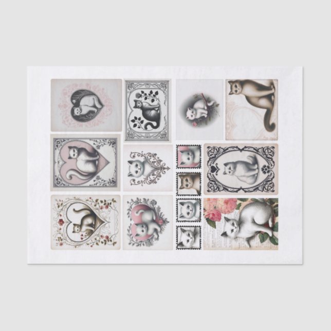 Papel De Seda Gatos bonito e Cortes Fussy Cardíacos (Frente )