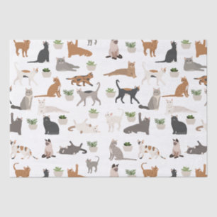 Papel De Seda Gatos Fofos e Plantas Domésticas Decoupage