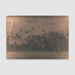 Papel De Seda Geese Vintage Textura Castanho Antiquada Sunset