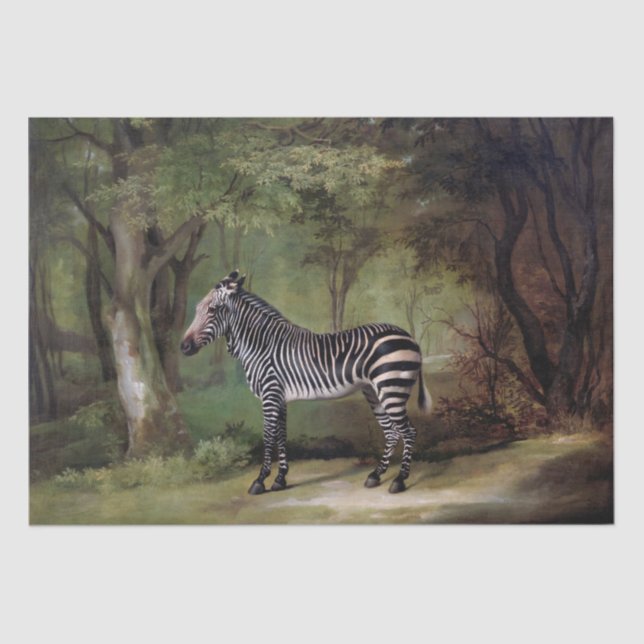 Papel De Seda George Stubbs | Zebra (1763) (Frente )