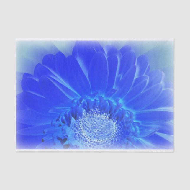 Papel De Seda gerbera azul-elétrica (Frente )