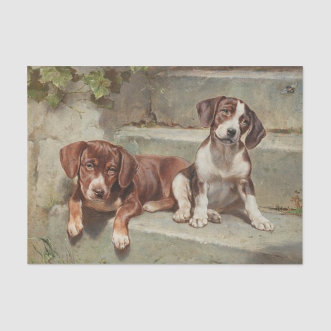 Papel De Seda Gestorte Siesta por Carl Reichert (Frente )