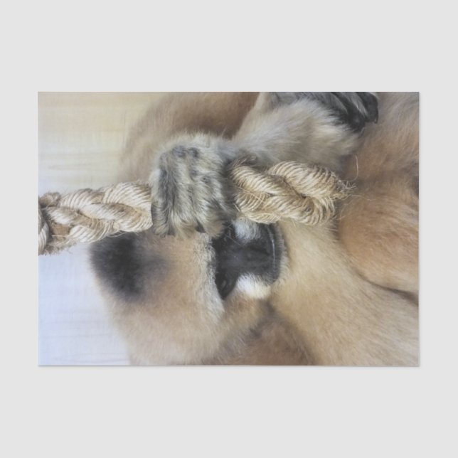 PAPEL DE SEDA GIBBON (Frente )