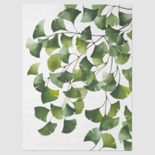 Papel De Seda Ginkgo Biloba Verde - 