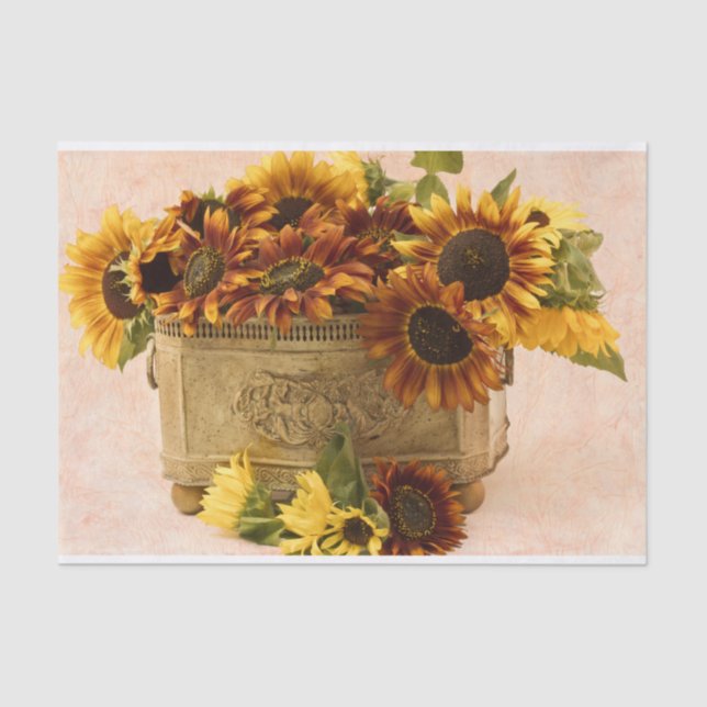 Papel De Seda Girassóis alaranjados na cesta da lata (Frente )