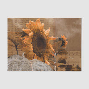 Papel De Seda Girassóis Amarelos Gigantes Música Hino Country Rú