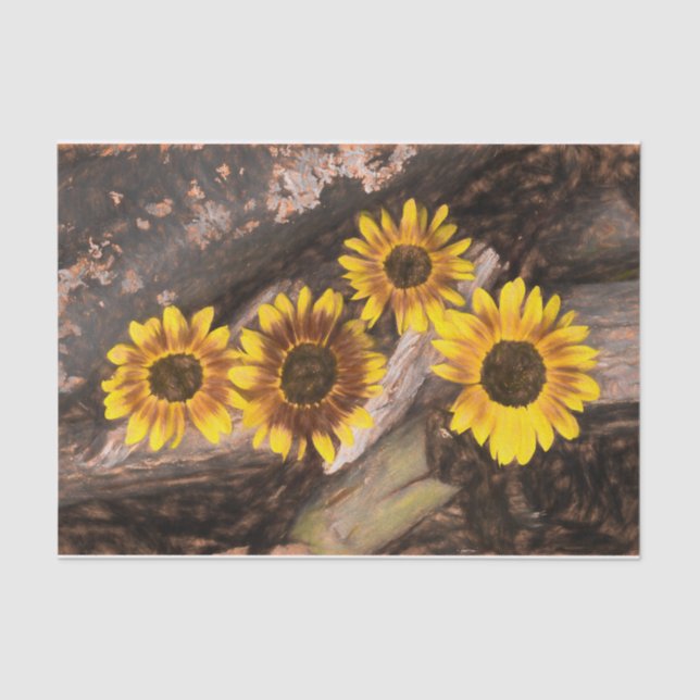 Papel De Seda Girassóis em toros Amarelo-castanho Russo (Frente )