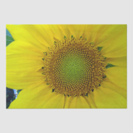 Papel De Seda Girassol e sementes, espiral, rácio Ouro