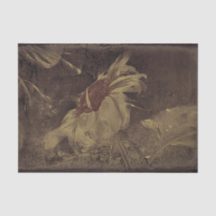 Papel De Seda Girassol Marrom Sépia Desenho Vintage Antigo