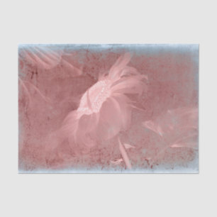 Papel De Seda Girassol Rosa Cinza Vintage Antigo Textura